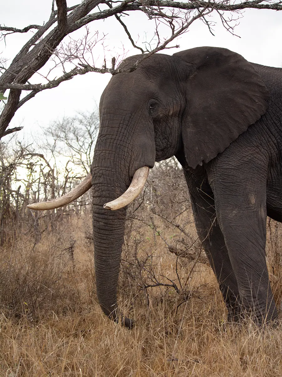 Behind-the-scenes vertical image