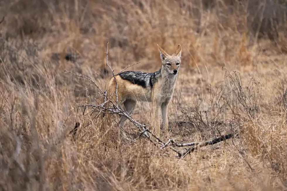 Beautiful horizontal shot