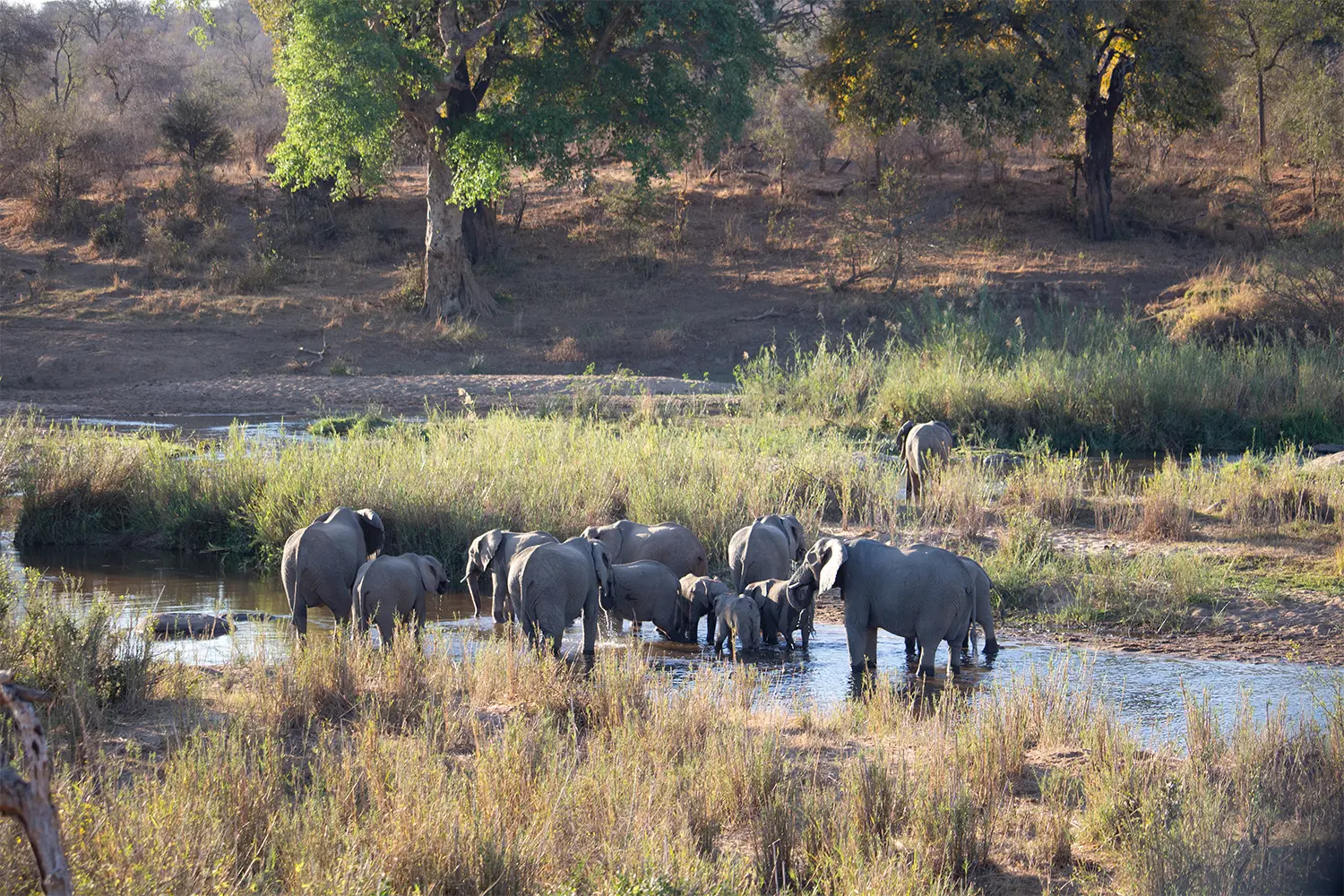 5 day all inclusive kruger national park safaris