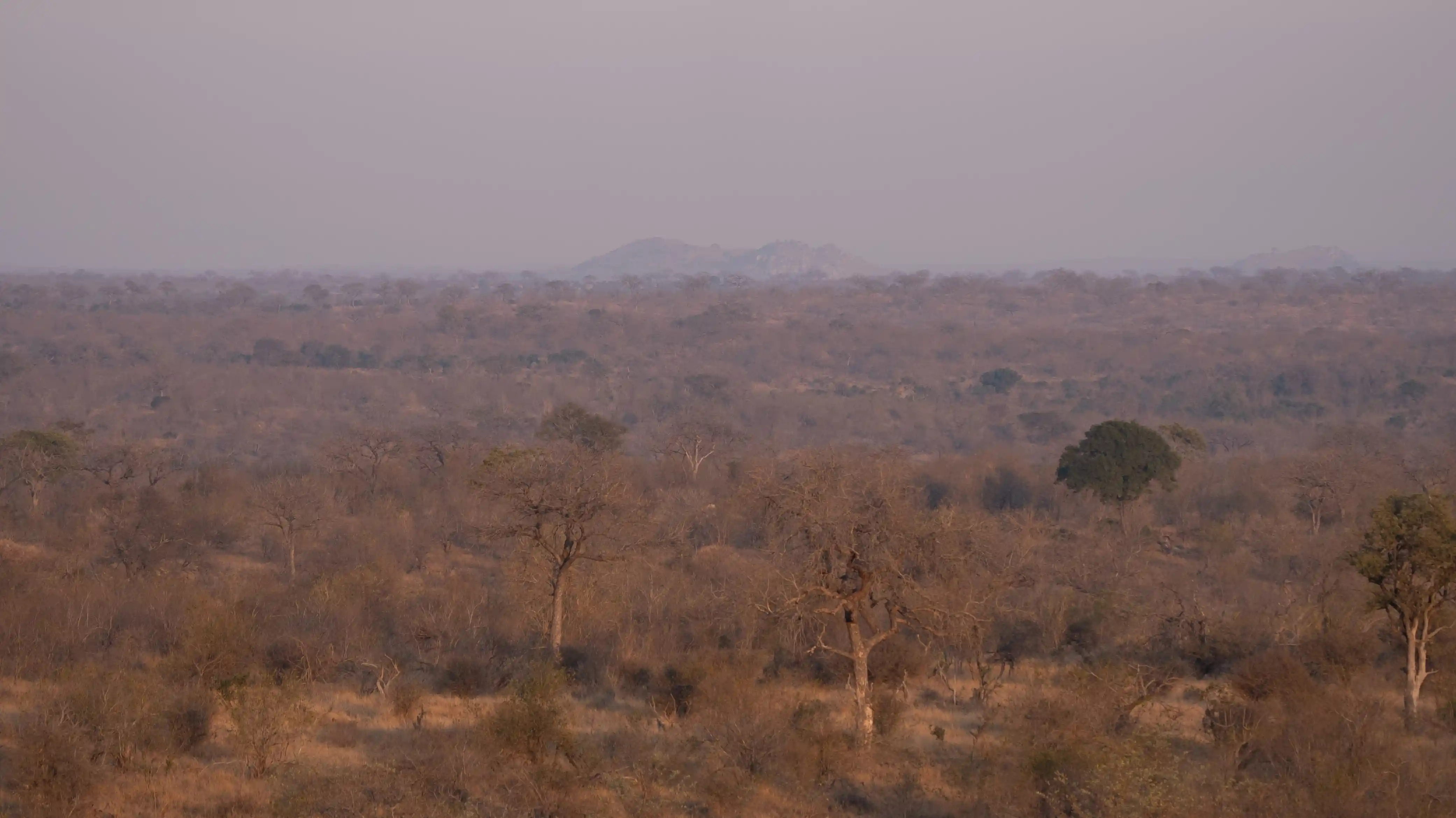 7 Day Luxury Safari South Africa Kruger Park