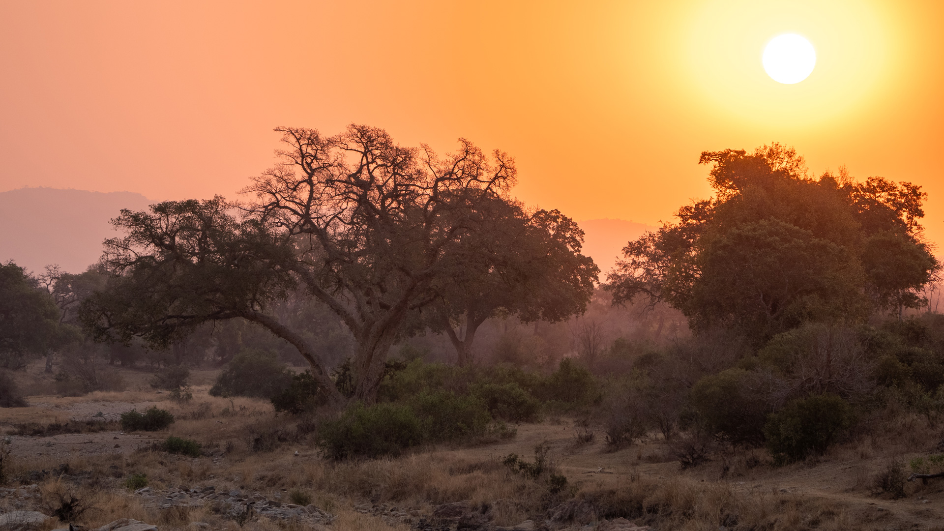 Kruger National Park All Inclusive Packages Private Safaris with Eugene