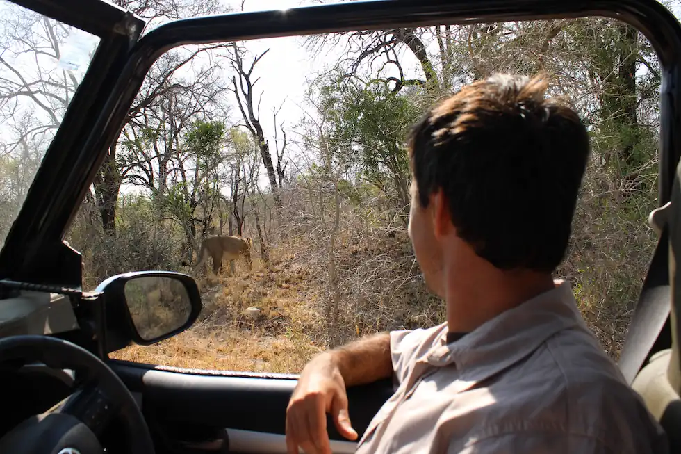 Eugene Safaris Contact