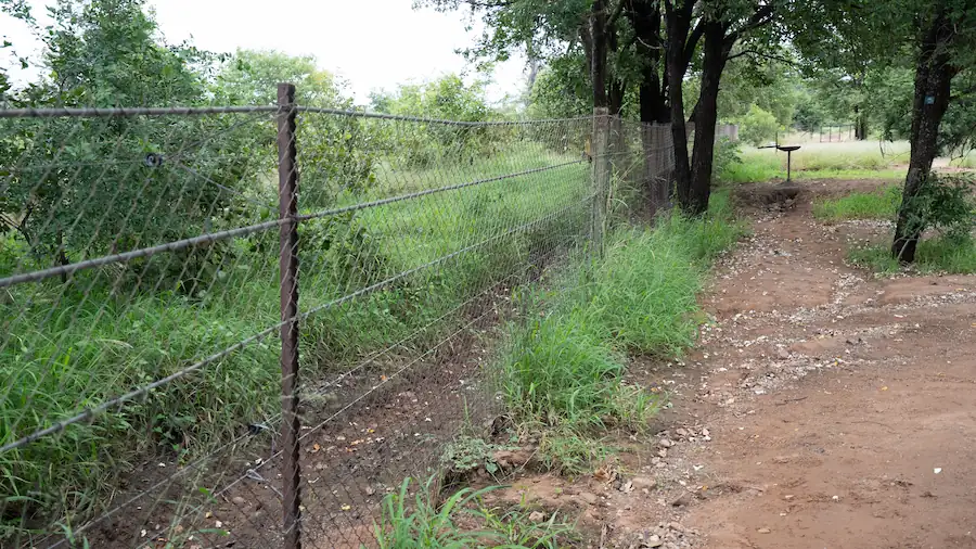 Punda Maria Rest Camp campsite - Fence View