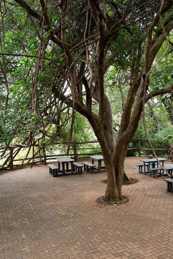 Punda Maria Rest Camp Communal Kitchen