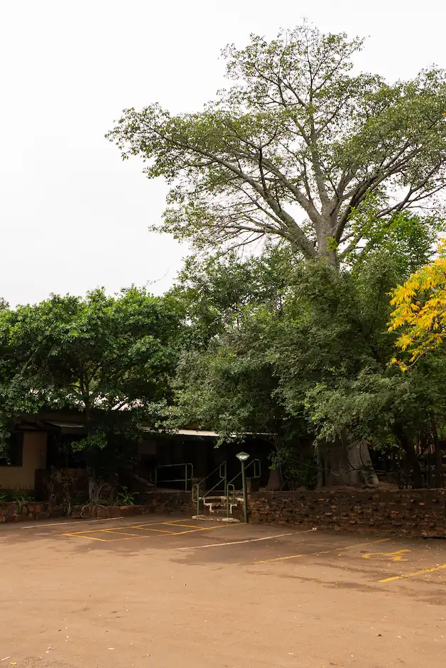 Punda Maria Rest Camp Reception Area