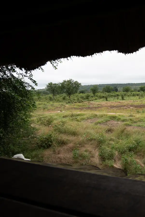 Punda Maria Rest Camp overlooking waterhole