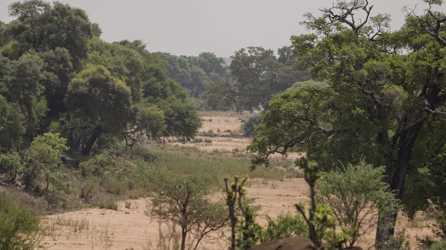 best time to visit Kruger National Park view over dry river bed near picnic site